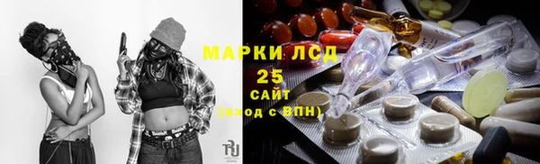 индика Абаза