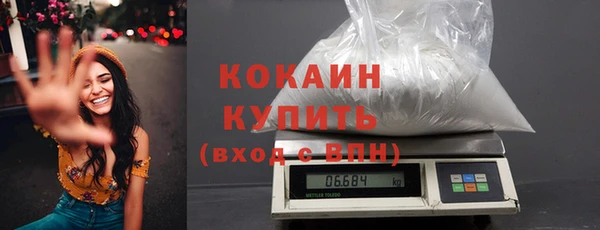 индика Абаза