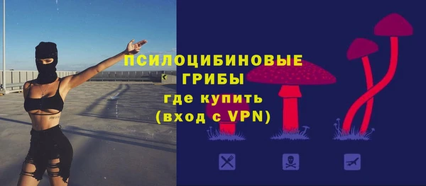 стаф Абдулино