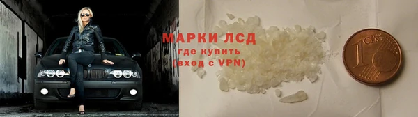 индика Абаза
