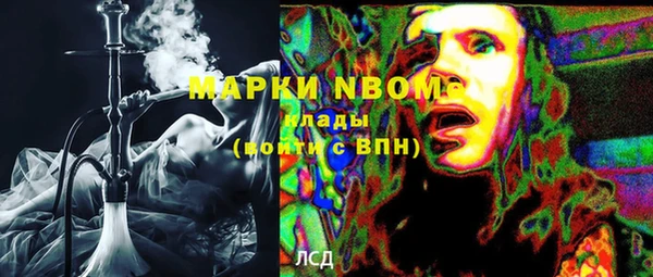 индика Абаза