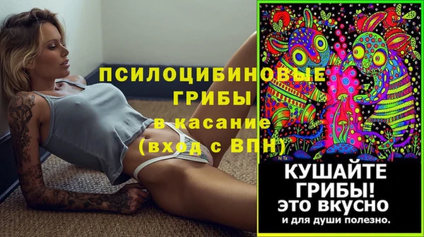 индика Абаза