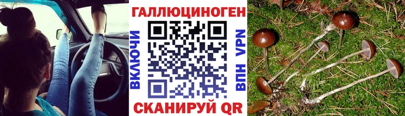 Галлюциногенные грибы GOLDEN TEACHER  купить закладку  Дальнереченск 