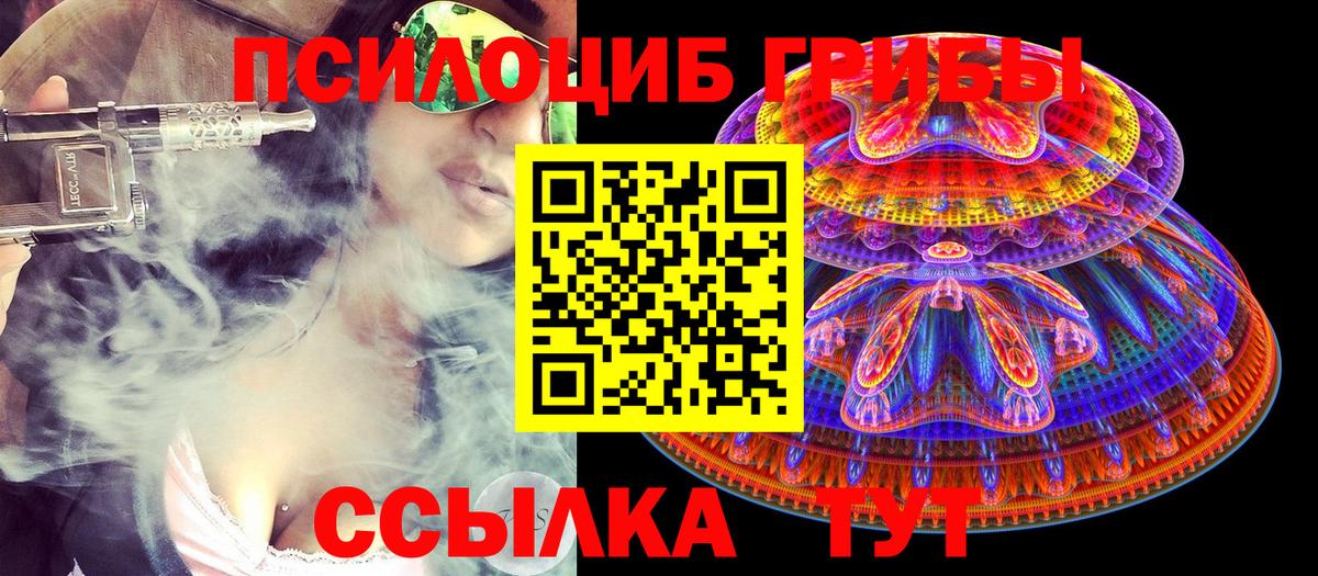Дальнереченск  Псилоцибиновые грибы MAGIC MUSHROOMS  где купить наркоту  Вход с VPN 